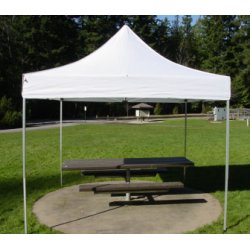 Lona para Carpa de JardÌ_n 3m x 4.5 m